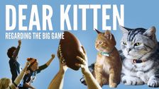 Still from Dear Kitten: Regarding the Big Game